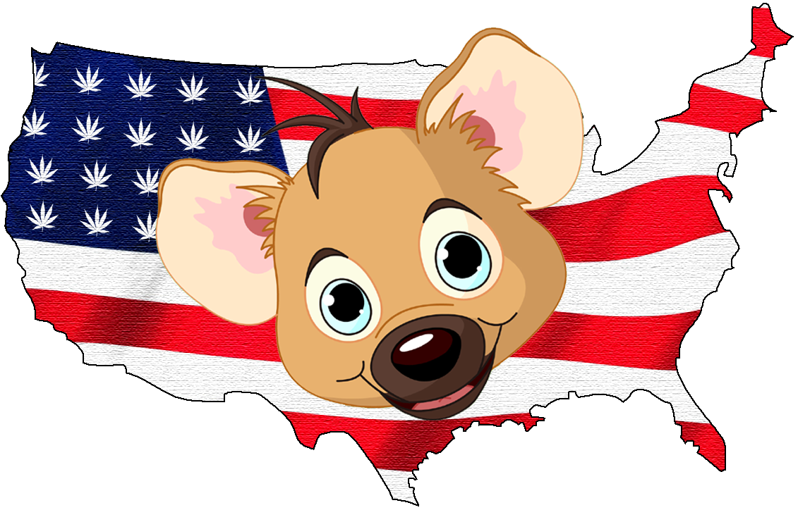 Hyena Merica.png