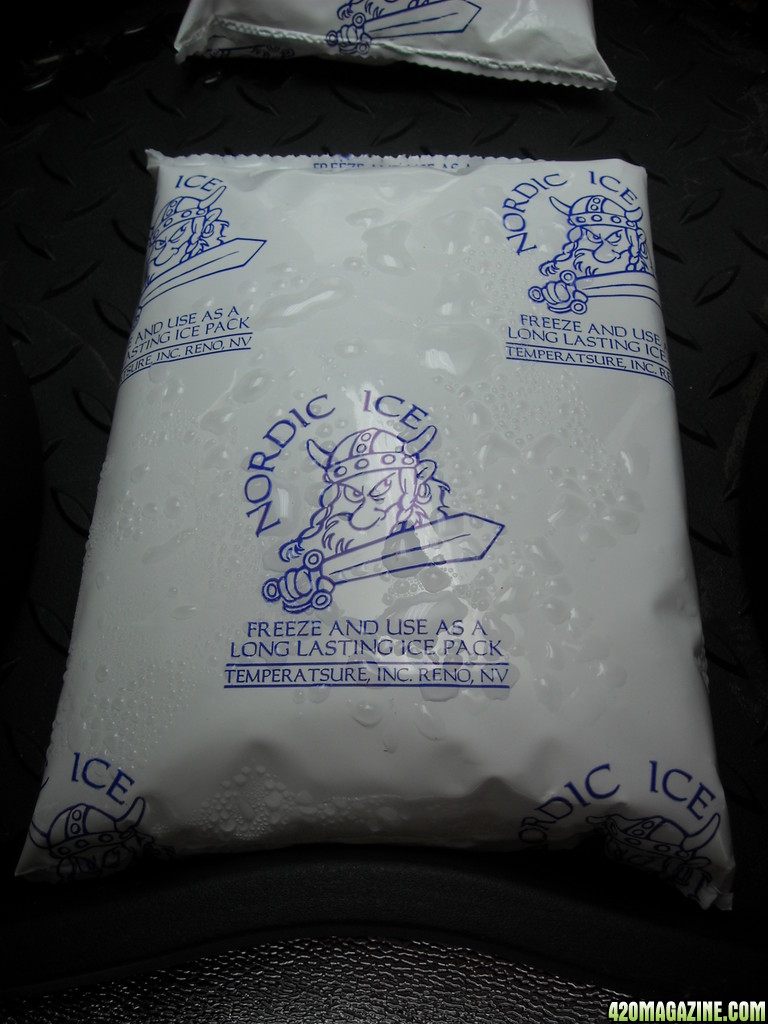 Ice Pack