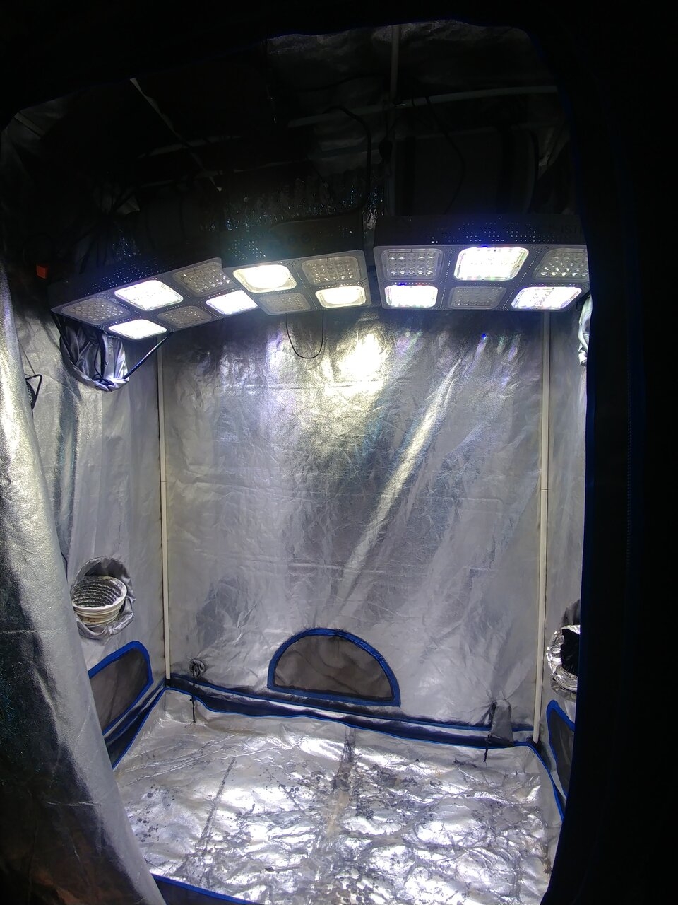 Icemud grow tent cannabis marijuana (2).jpg