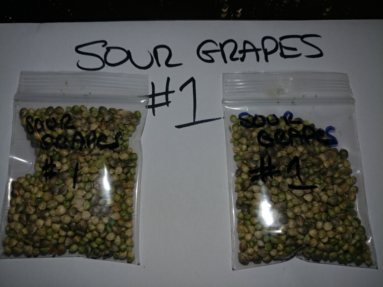 Icemud_Sour Grapes_cannabis_seed_hazeman (13).jpg