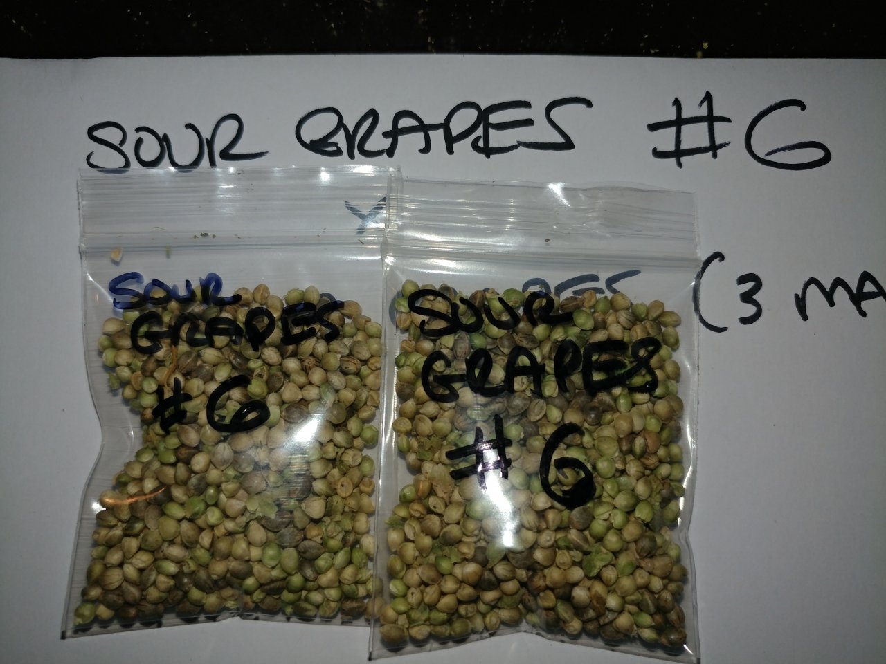 Icemud_Sour Grapes_cannabis_seed_hazeman (15).jpg