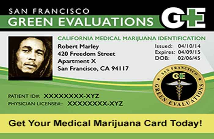 Identification Card - Cannabis Reports