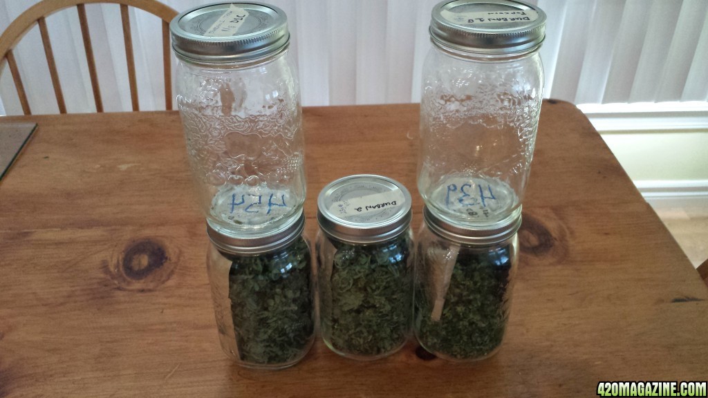 IN MASON JARS