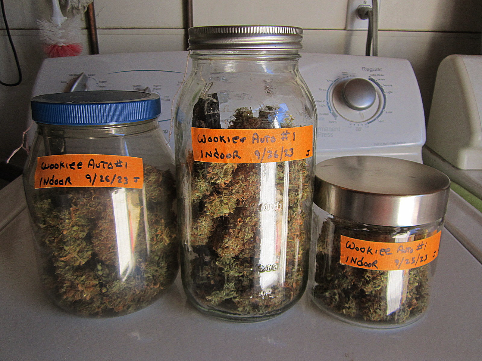 in the jars 2.jpg