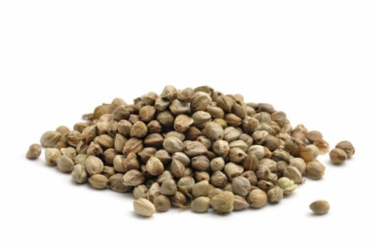 Industrial Hemp Seeds