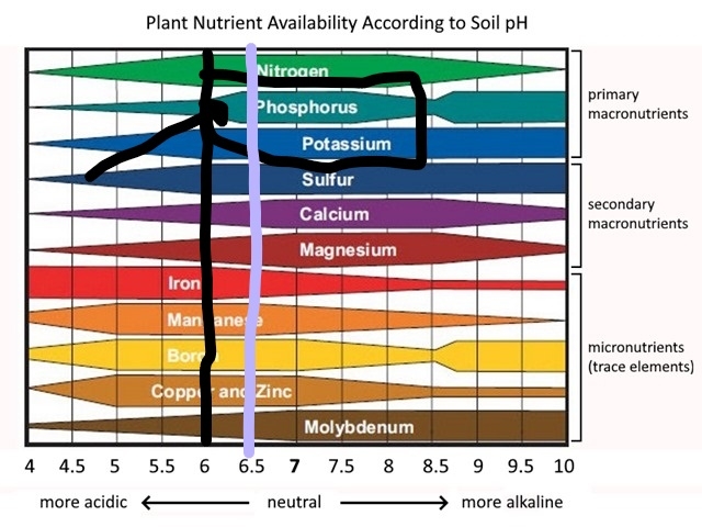 Inkednutrientavailabilitysoilphchartdetailed (1)_LI.jpg