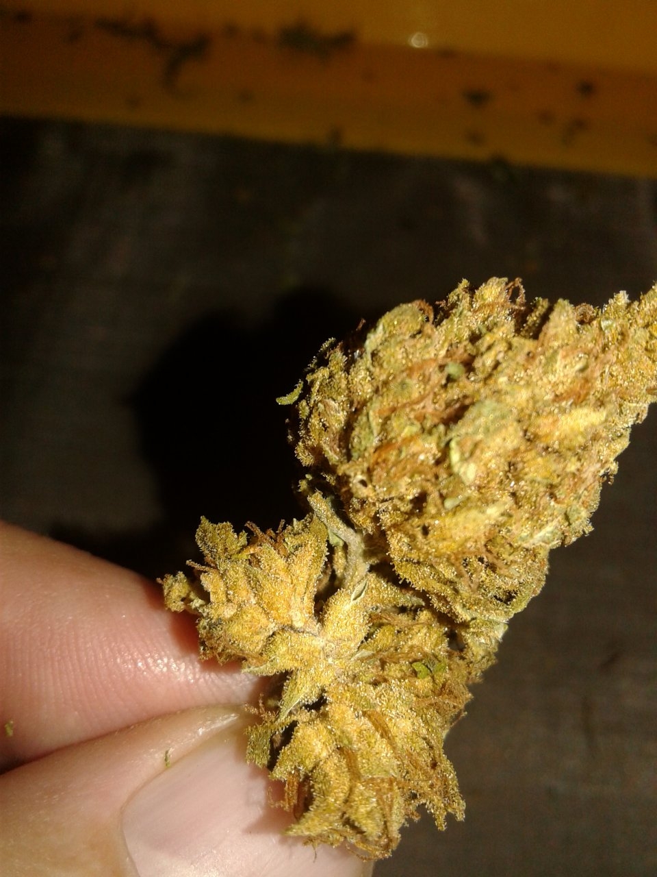 Inside the Nug of Love