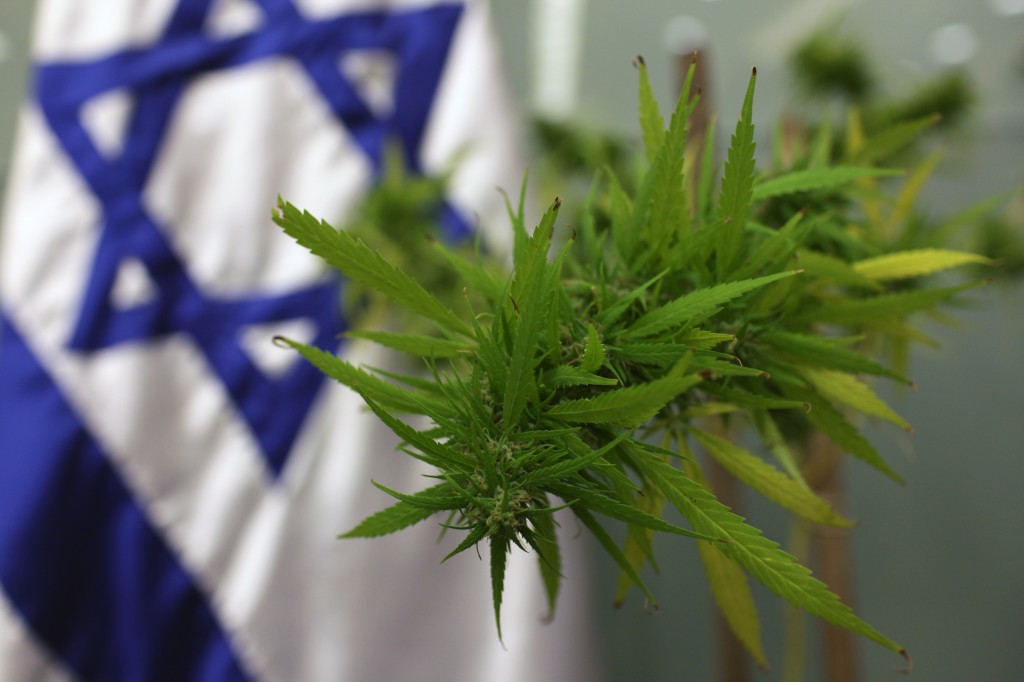 israel flag with plant