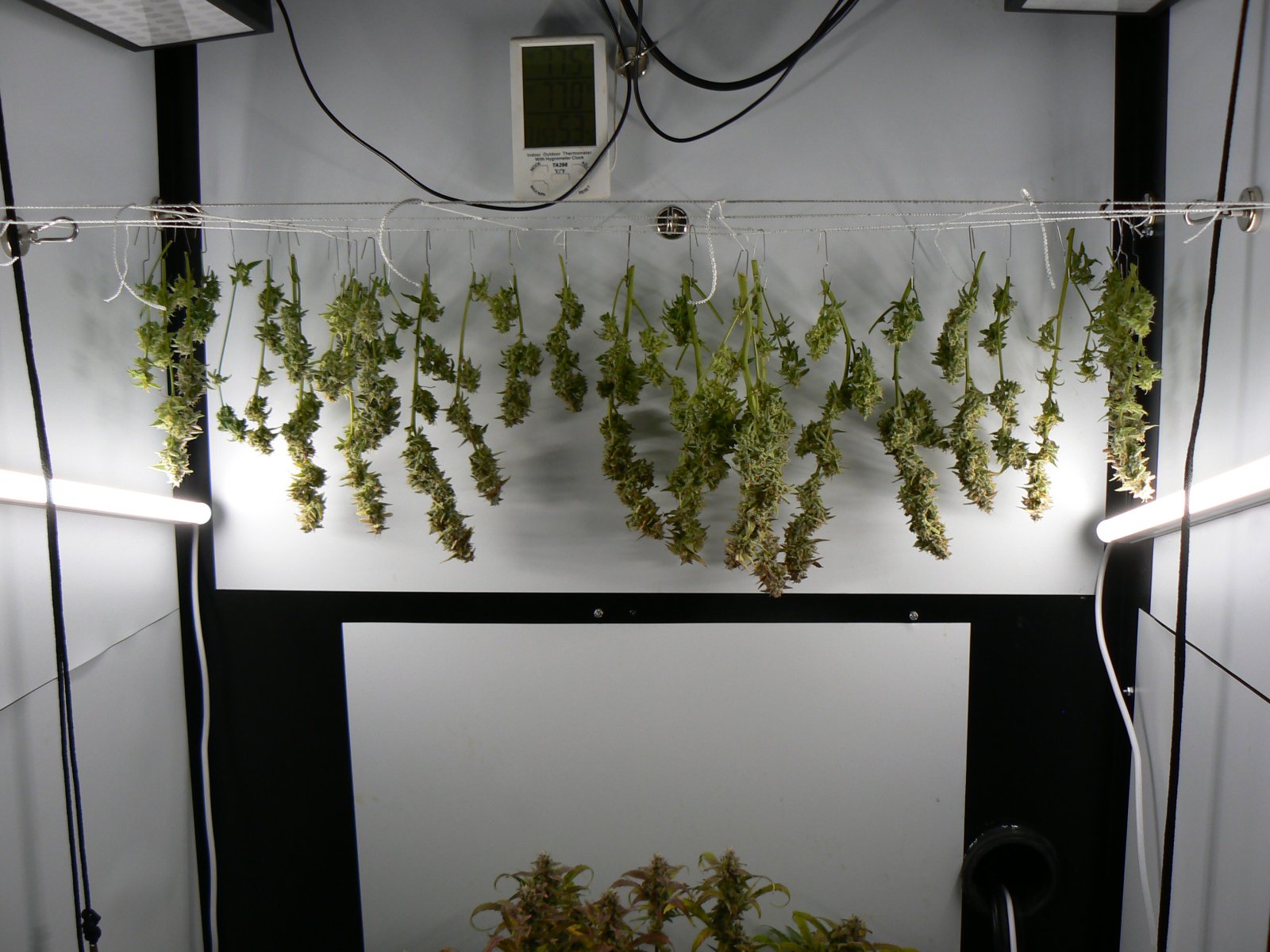 J22 Harvest - 1.JPG