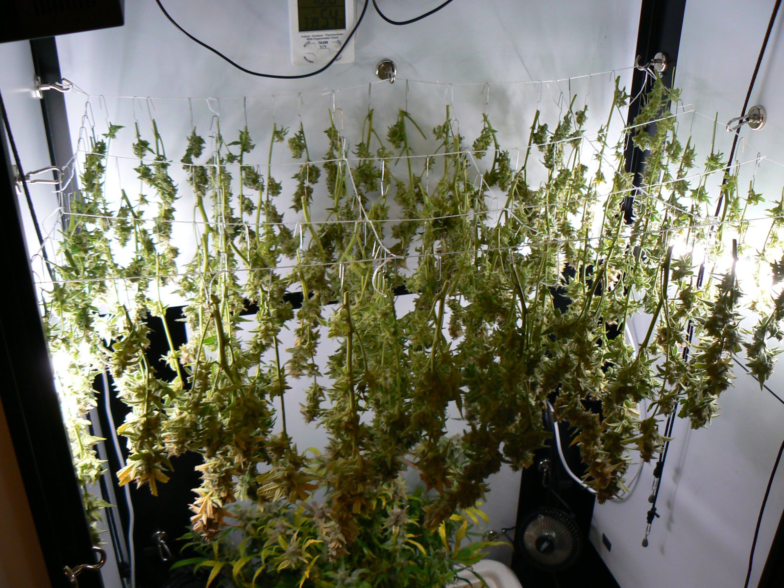 J22 Harvest - 4.JPG