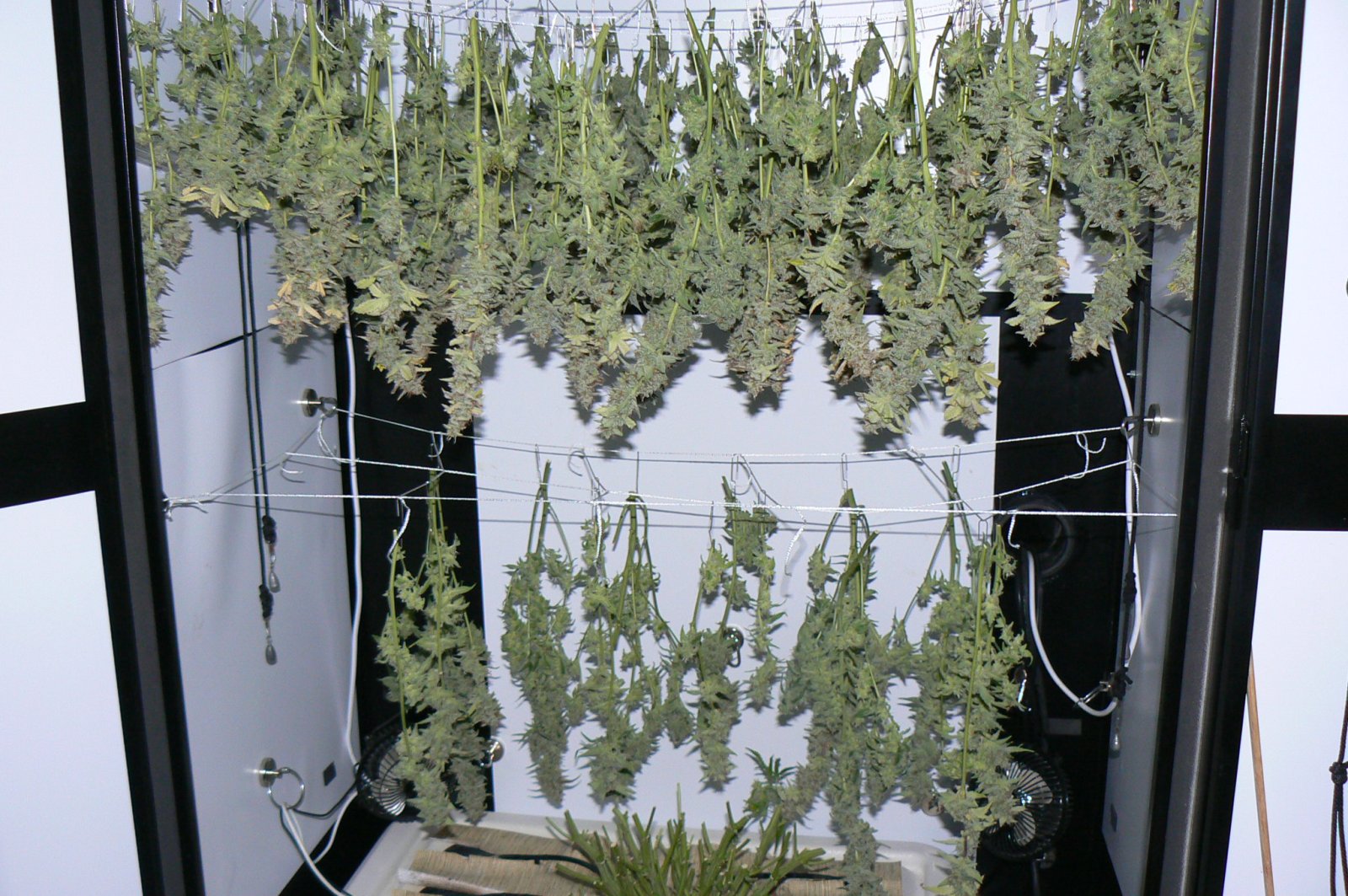 J22 Harvest - 6.JPG