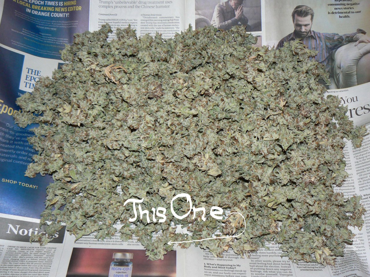 Jack Herer Auto 287 gram yield