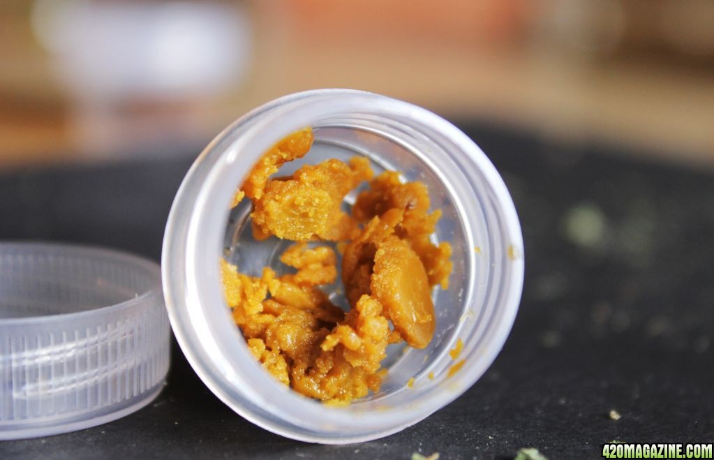 Jack The Ripper Wax