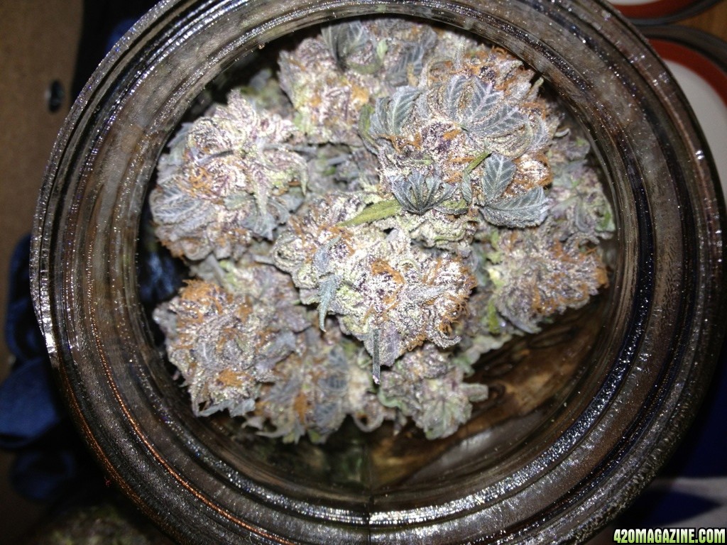 Jar of Grapes