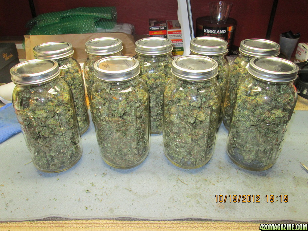 Jars 'o Big Bud