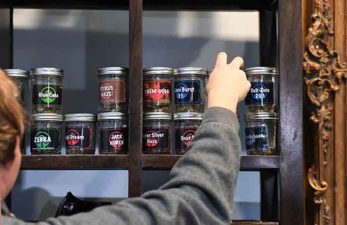 Jars of Dispensary Buds - Getty