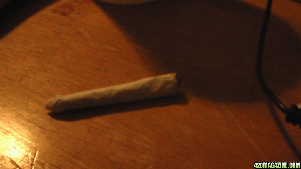 joint