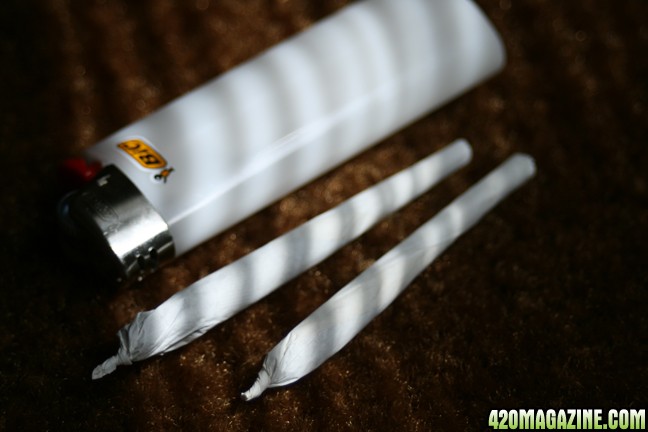 Joints Feat. Bic!