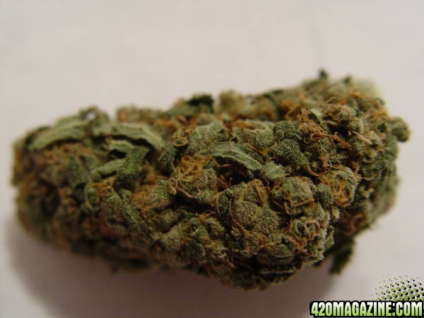 Juicyfruit Bud