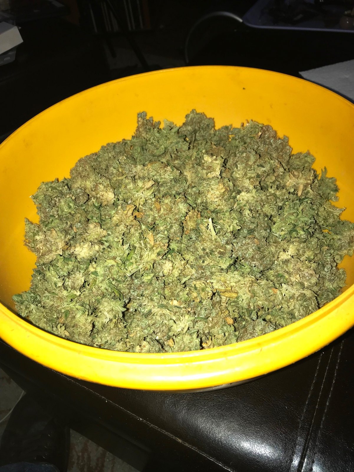 Kera dry buds 7-26-22.jpg