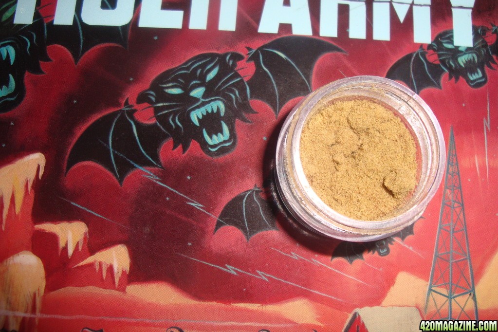 Kief