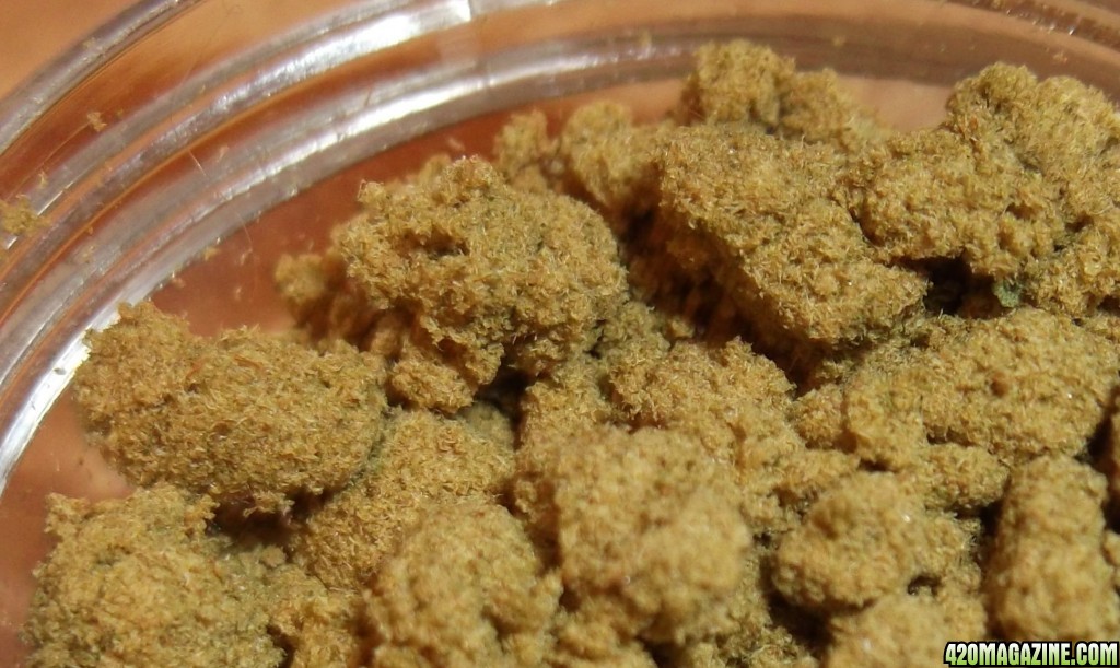 Kief7