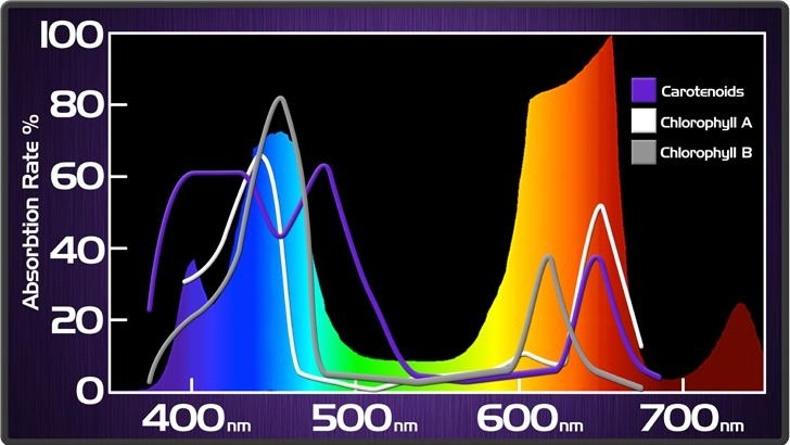 KIND-led-grow-light-spectrum.jpg