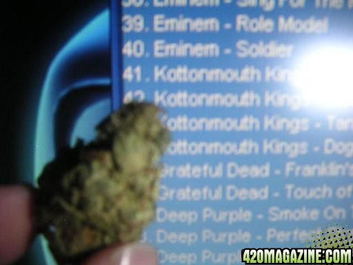 kmk_nug