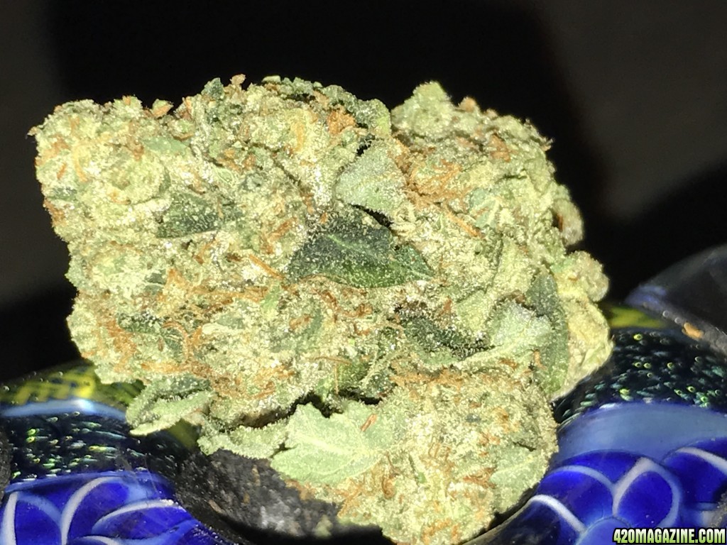 KO OG nug of the month