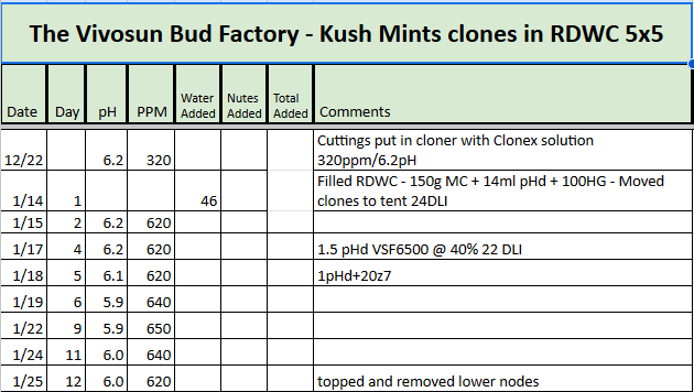 Kush Mints RDWC Tracker.png