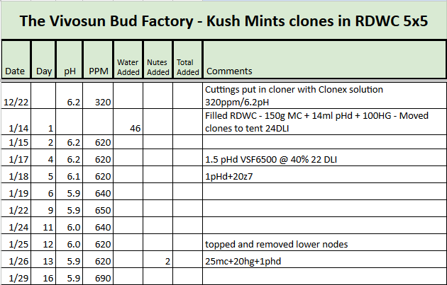 Kush Mints RDWC Tracker.png