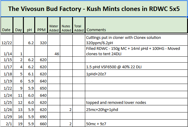 Kush Mints RDWC Tracker.png