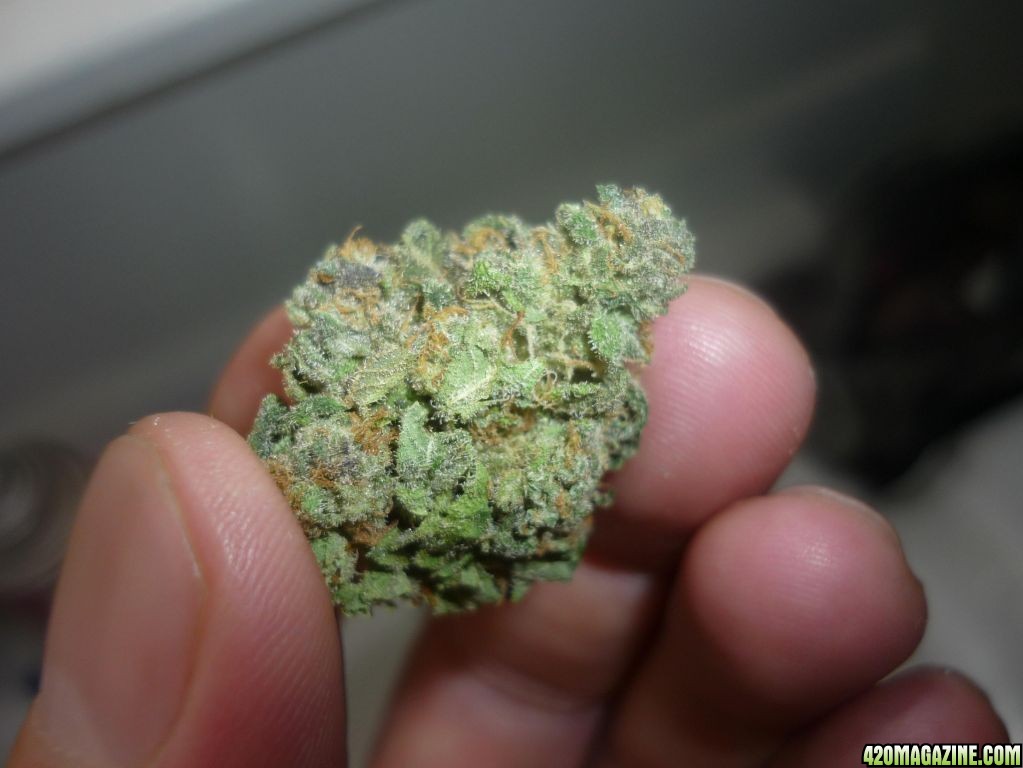 Kushberry_Close_Up1