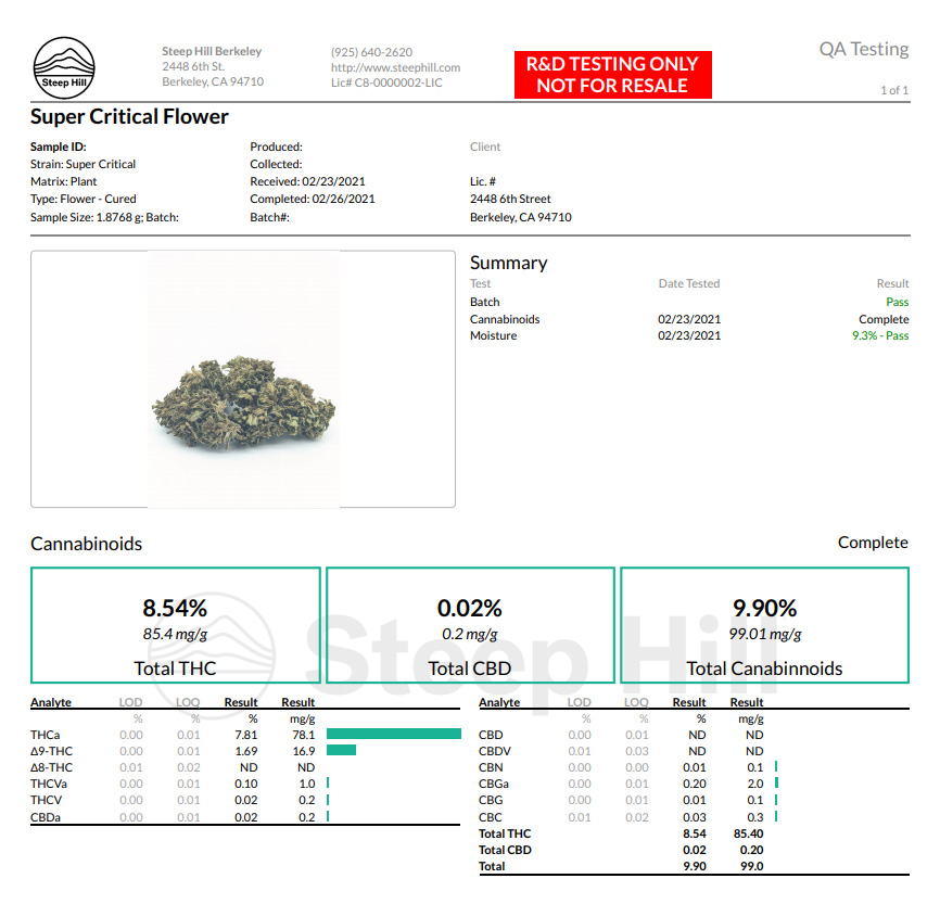 Lab Super Critical Bud Flower.jpg