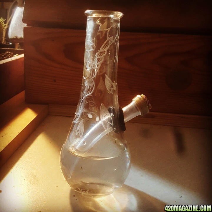 ladys waterpipe bong