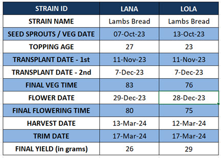 Lamb's Bread Results.jpg