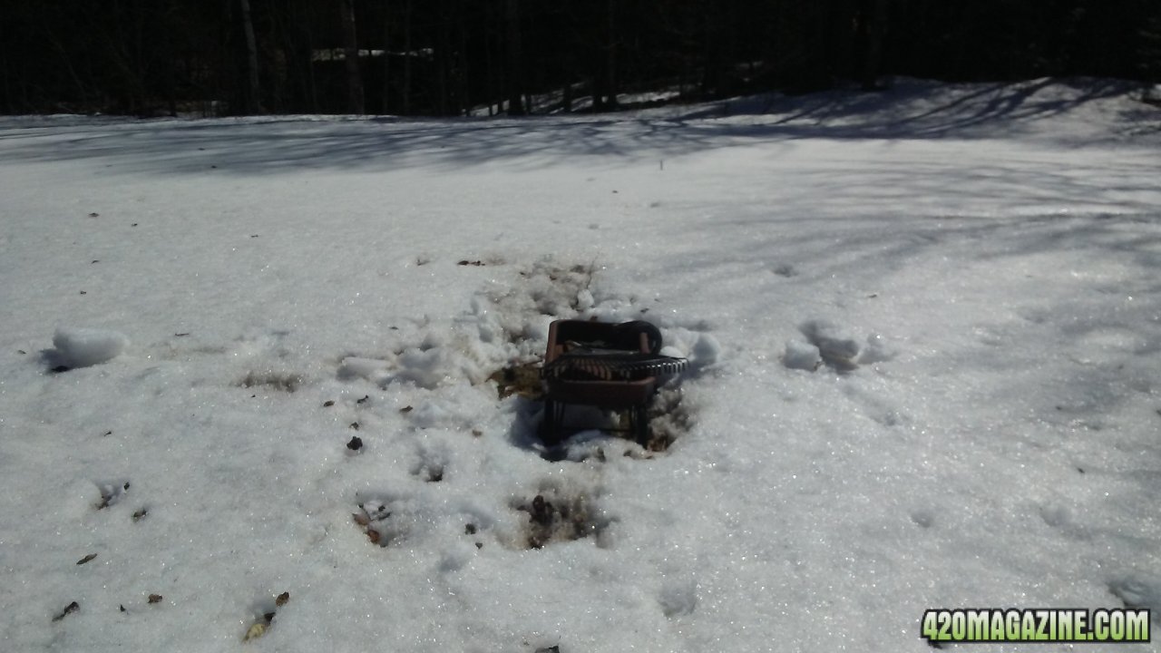 Last snow, old wagon, to be my Herb garden....