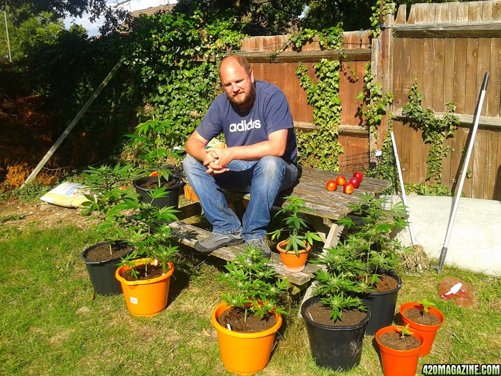 last years garden grow