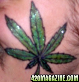 Leaf_Tat