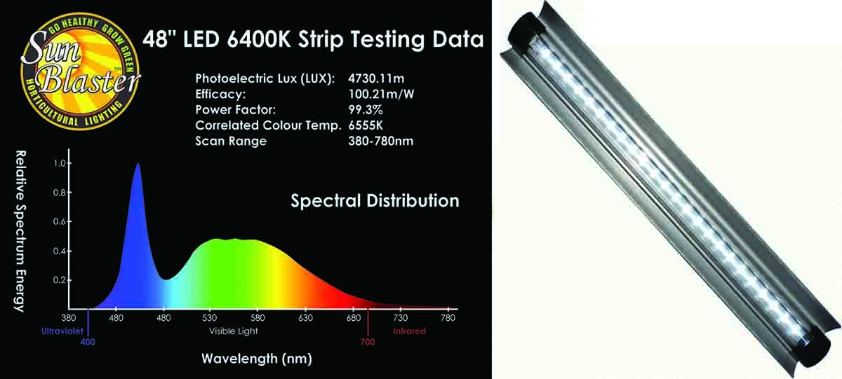 LED%20spectrum%20and%20lamp.jpg