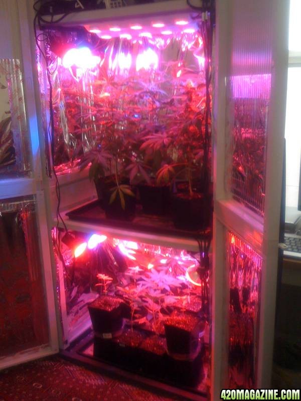 LED grow cabinet