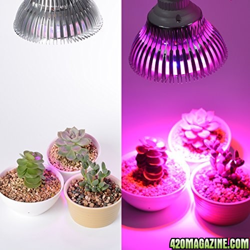 LED Grow Light