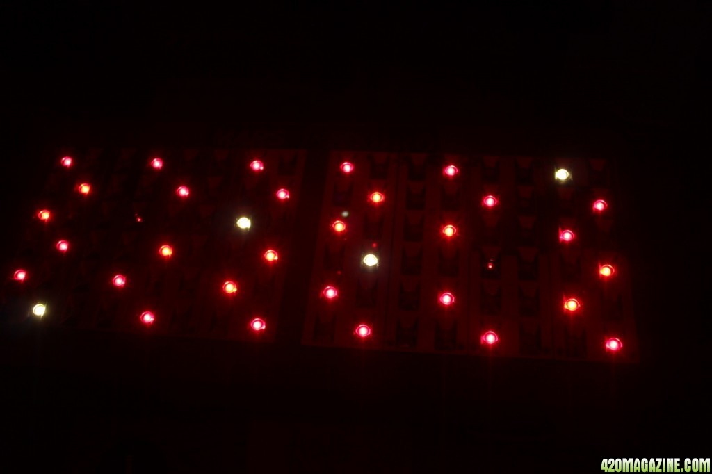 LED Light show