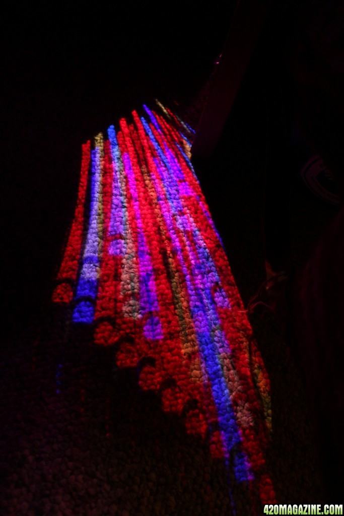 LED Light Spectrum