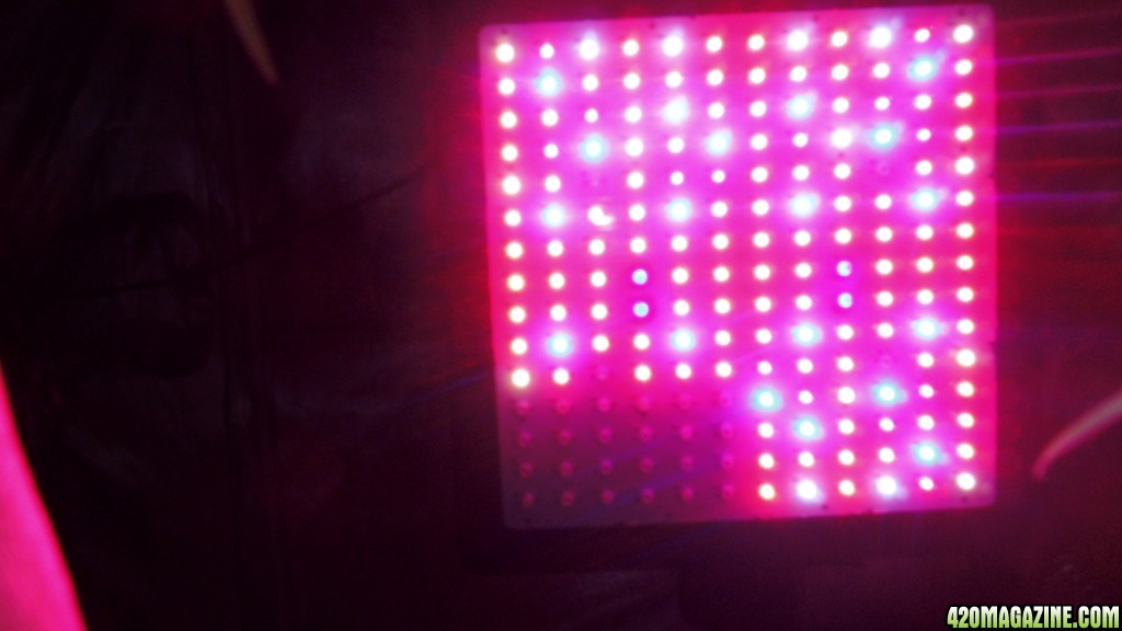 LED light