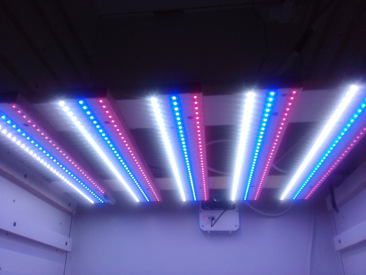 LED veg cupboard lights.jpg