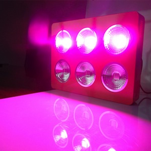 Led26x2