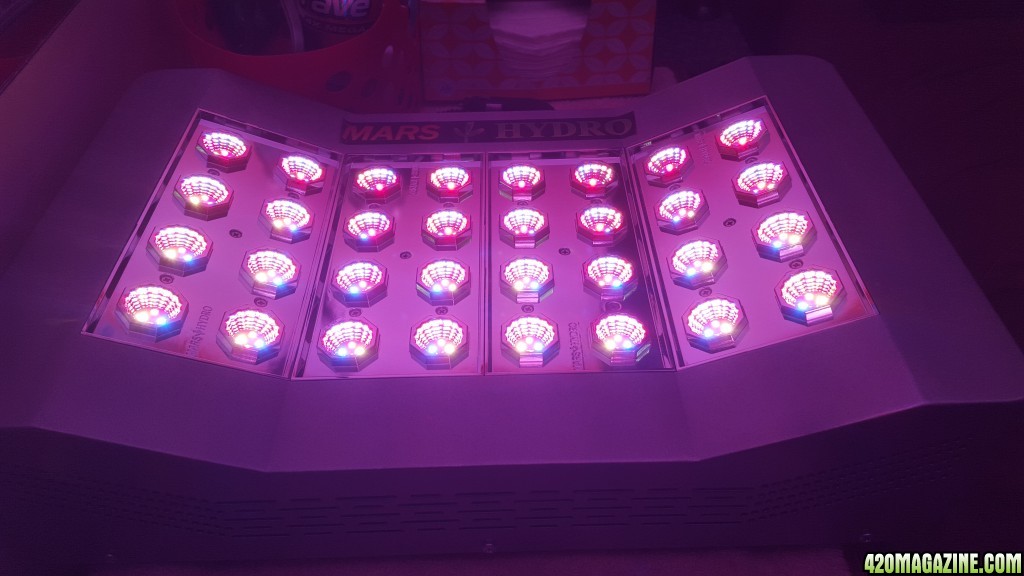 Leds