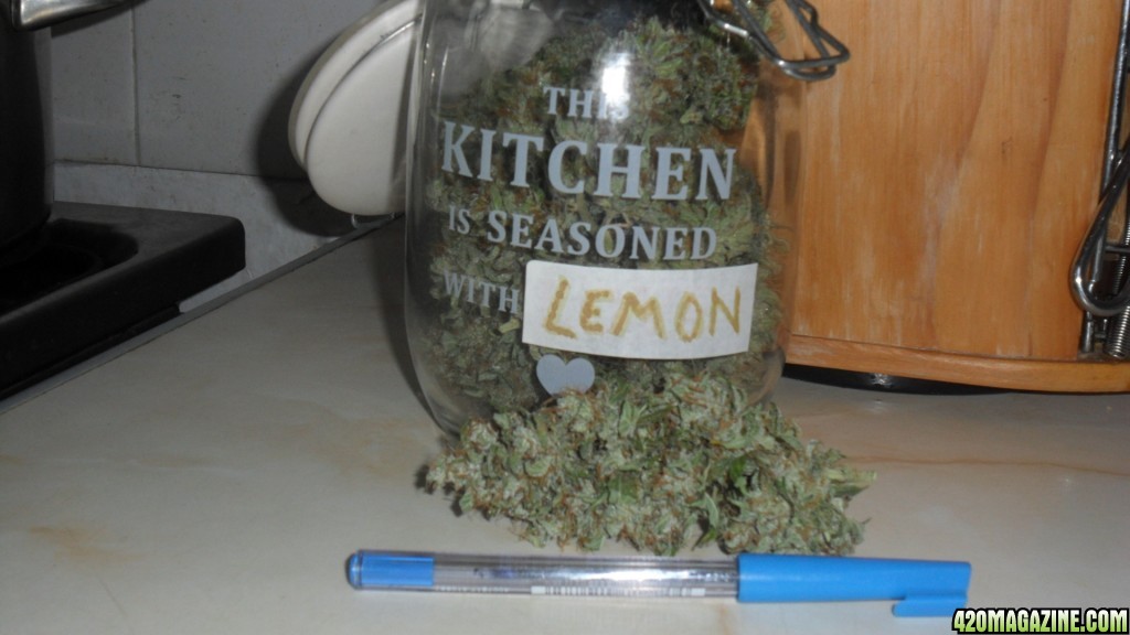 lemon auto