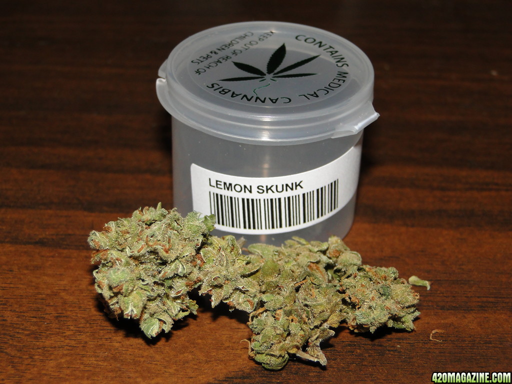 Lemon_Skunk6